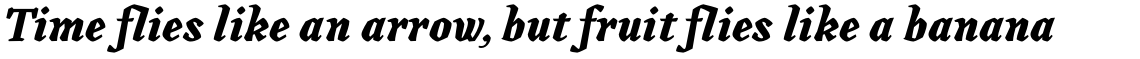 Canilari Pro Bold Italic