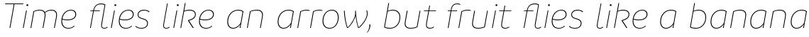 Branding Thin Italic