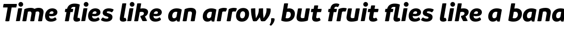 Branding Bold Italic