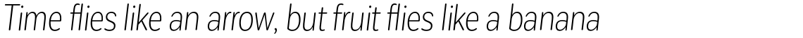 Corporative Sans Rounded Condensed Light Italic