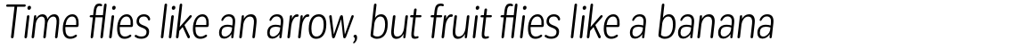 Corporative Sans Rounded Condensed Book Italic