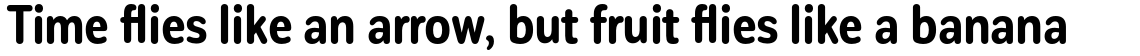 Corporative Sans Rounded Condensed Bold