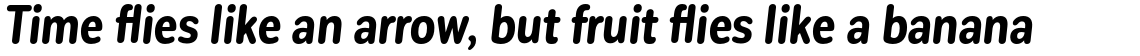Corporative Sans Rounded Condensed Bold Italic