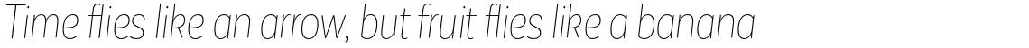 Corporative Sans Rounded Condensed Alt Hair Italic