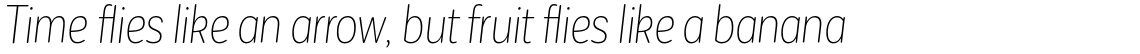 Corporative Sans Rounded Condensed Alt Thin Italic