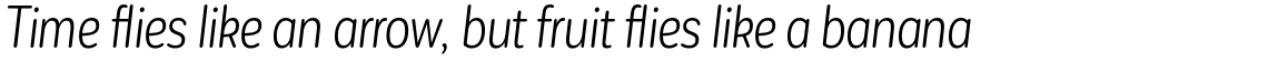 Corporative Sans Rounded Condensed Alt Book Italic
