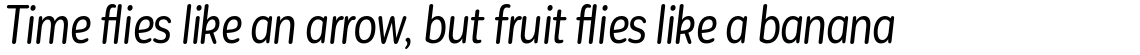 Corporative Sans Rounded Condensed Alt Regular Italic