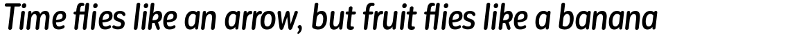 Corporative Sans Rounded Condensed Alt Medium Italic