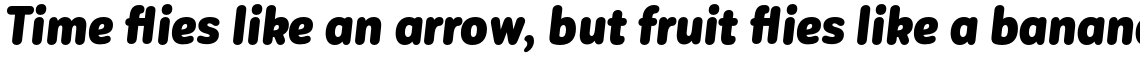 Corporative Sans Rounded Condensed Alt Black Italic