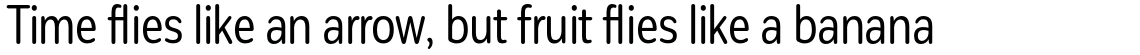 Corporative Sans Rounded Condensed (Essential Family)