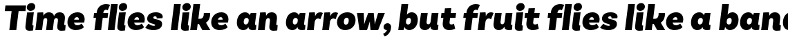 Basic Sans Black Italic