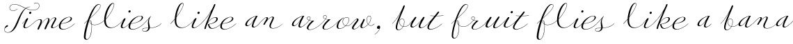 Pret-a-porter Contrast Regular
