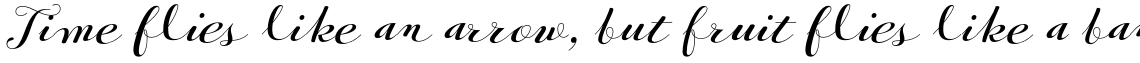 Pret-a-porter Contrast Bold
