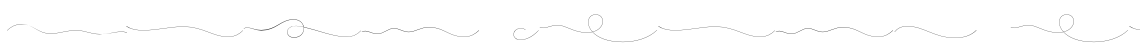 Pret-a-porter Linear Thin Ornament