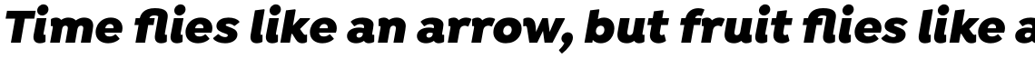 Isidora Black Italic