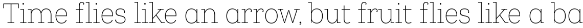 Queulat Condensed Thin