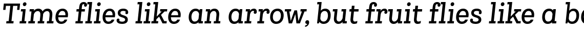Queulat Condensed Medium Italic
