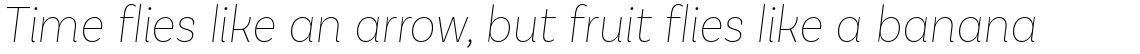 Basic Sans Narrow Thin Italic