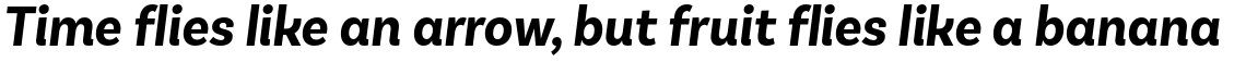 Basic Sans Narrow Bold Italic