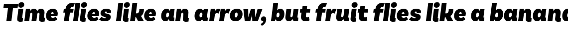 Basic Sans Narrow Black Italic