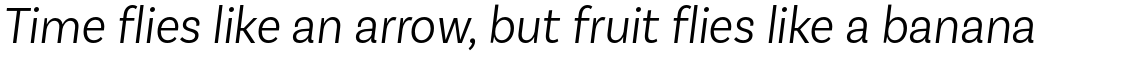 Basic Sans Narrow Alt Light Italic