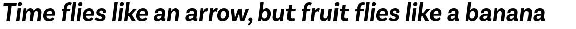 Basic Sans Narrow Alt SemiBold Italic