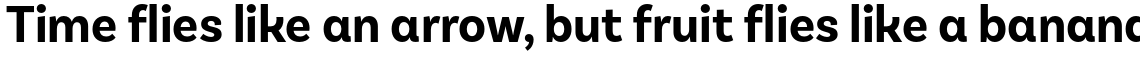 Basic Sans Narrow Alt Bold