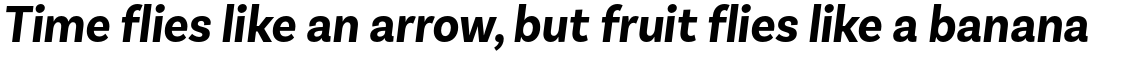 Basic Sans Narrow Alt Bold Italic
