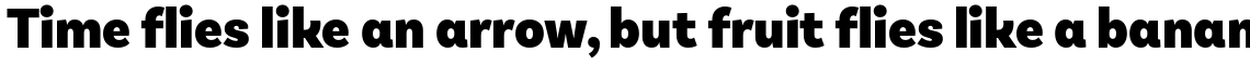 Basic Sans Narrow Alt Black