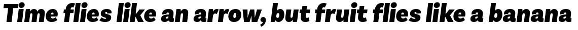 Basic Sans Narrow Alt Black Italic