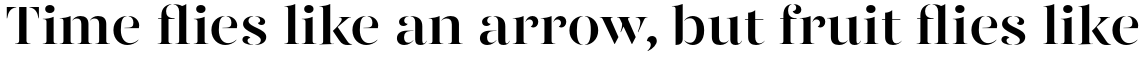 Gabriela Stencil Bold