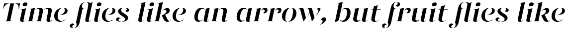 Gabriela Stencil Bold Italic