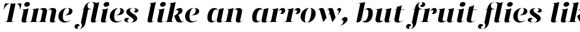 Gabriela Stencil Black Italic