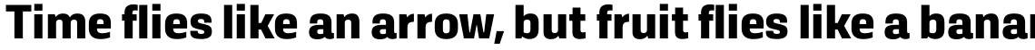 Kawak Bold
