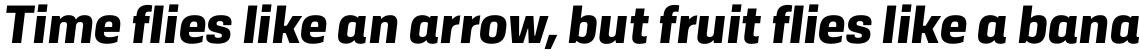 Kawak Bold Italic