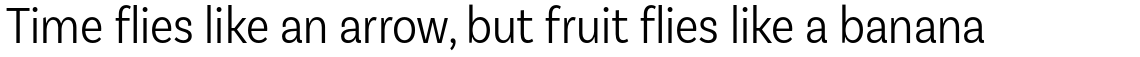 Basic Sans Condensed Light