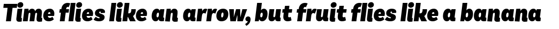 Basic Sans Condensed Black Italic