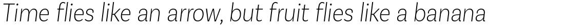 Basic Sans Condensed Alt ExtraLight Italic
