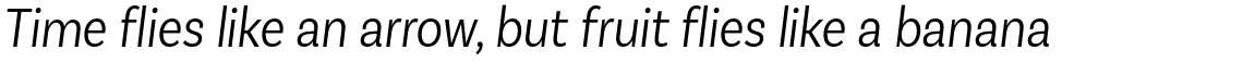 Basic Sans Condensed Alt Light Italic