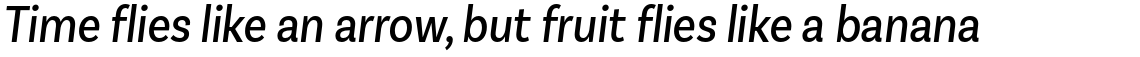 Basic Sans Condensed Alt Regular Italic