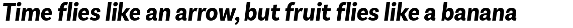 Basic Sans Condensed Alt Bold Italic