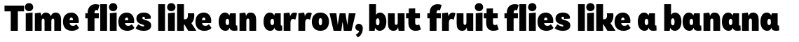 Basic Sans Condensed Alt Black