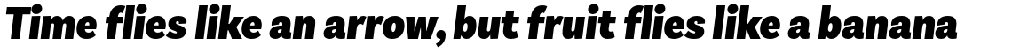 Basic Sans Condensed Alt Black Italic