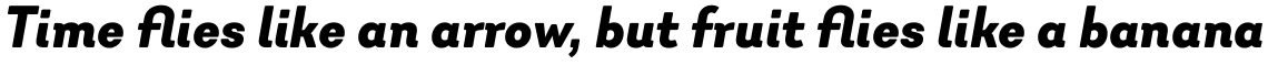 Javiera Black Italic