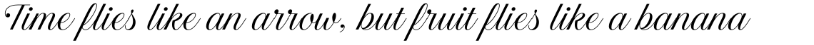 Estampa Script Light