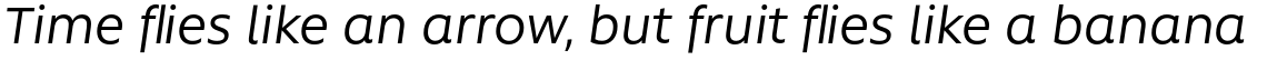 Rawson Pro Regular Italic