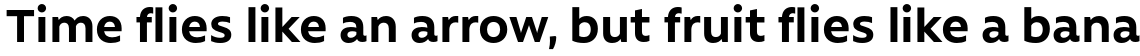 Rawson Pro Bold