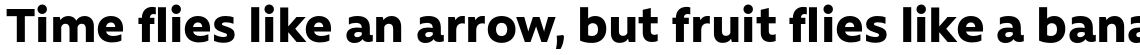 Rawson Pro ExtraBold