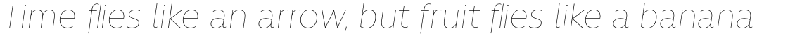 Rawson Alt Thin Italic