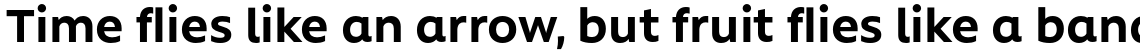 Rawson Alt Bold